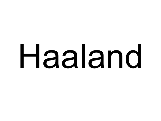 Erling hafði betur gegn High Advanced Activity Land