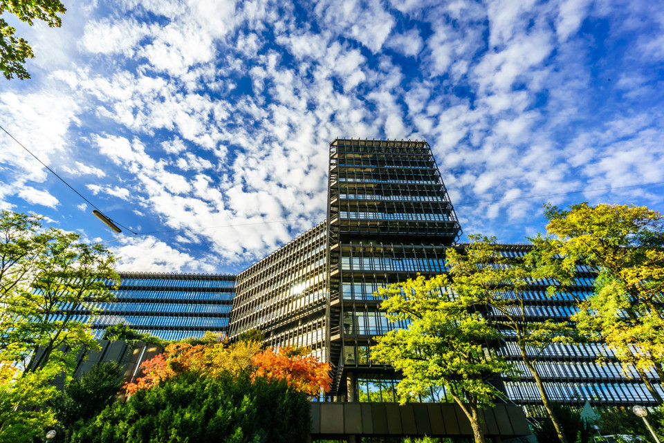 EPO Istock 1161040822