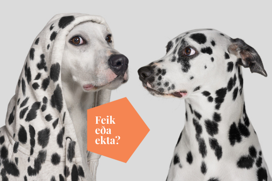 Feik Eða Ekta Vefmynd (560 X 373 Px) (2)