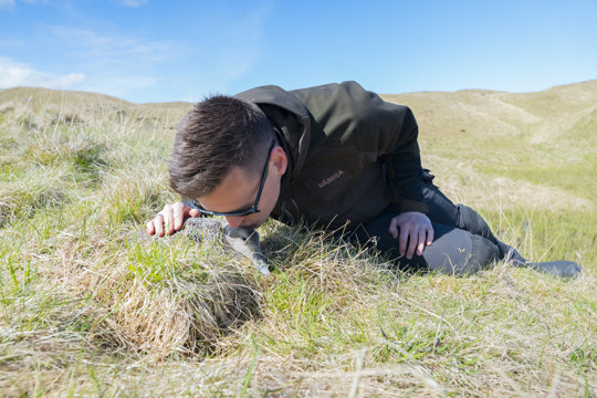 Árni Rúnar Örvarsson by an eider's nest