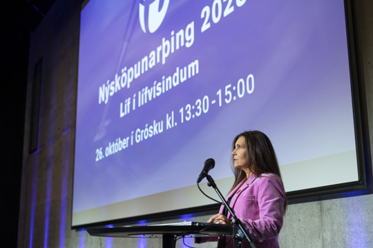 Borghildur Erlingsdóttir, Hugverkastofunni