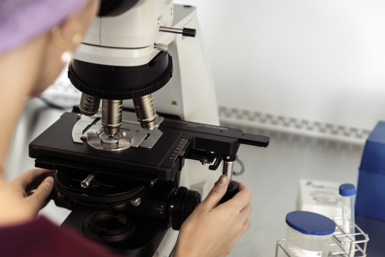 Microscope