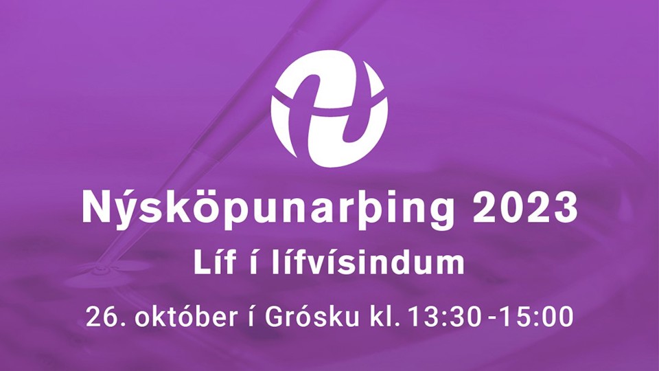 Nýsköpunarþing Vefur