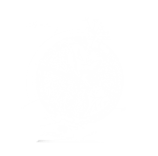 Hero illustration