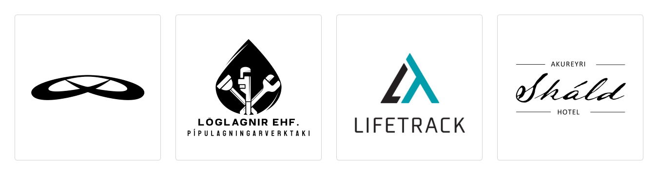 Dæmi um vörumerki nýrra fyrirtækja sem skráð voru árið 2024.