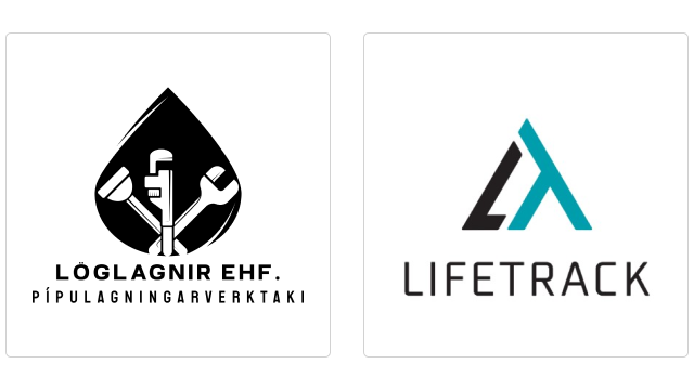 Dæmi um vörumerki nýrra fyrirtækja sem skráð voru árið 2024.