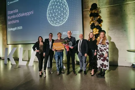 Sagareg Wins Gulleggið 2025